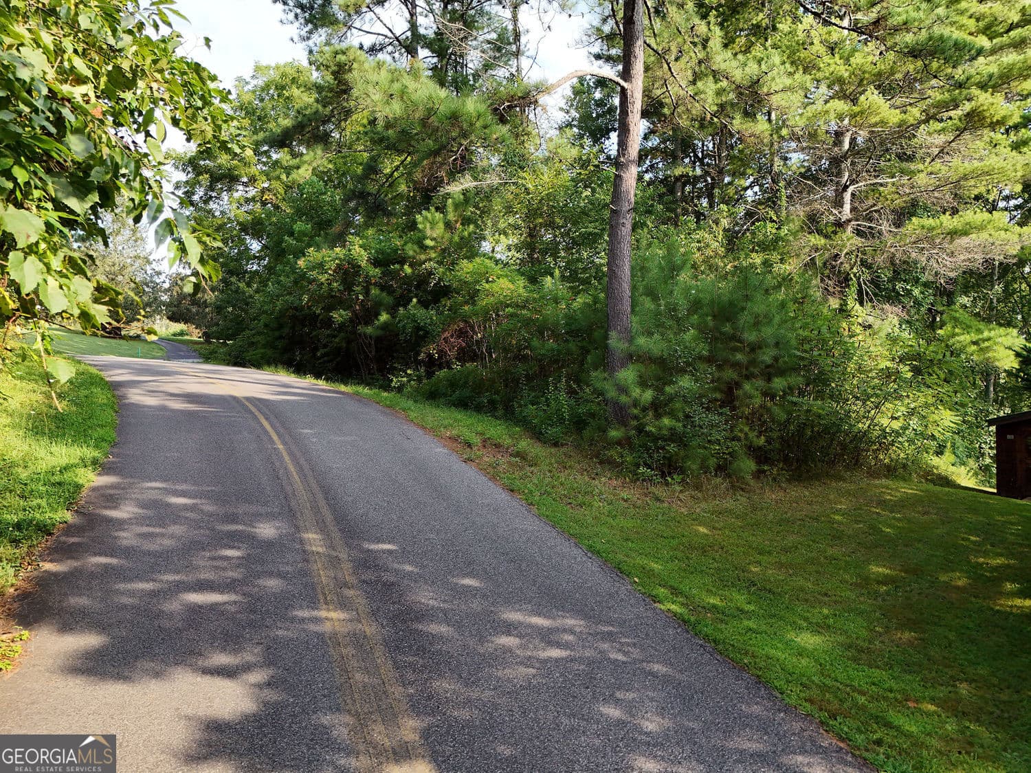 residential lot for sale at LOT 4 River Lake Estates, Blairsville, GA 30512 — photo 6