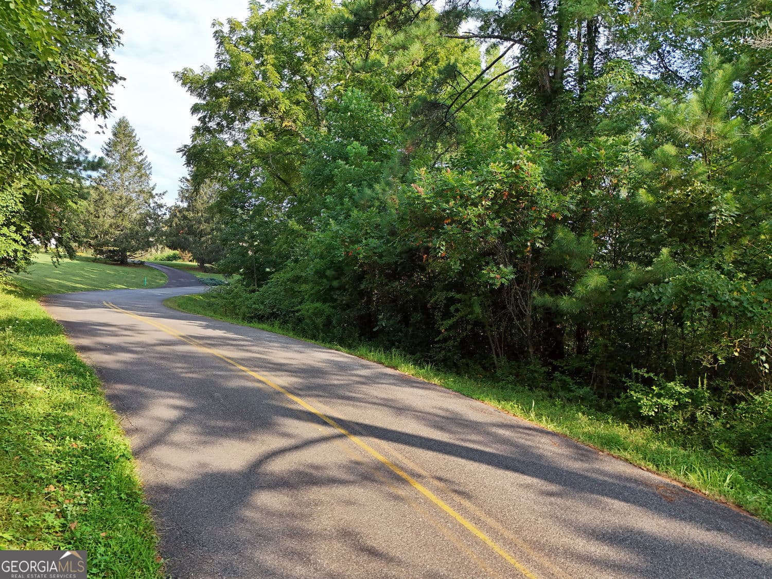 residential lot for sale at LOT 4 River Lake Estates, Blairsville, GA 30512 — photo 7