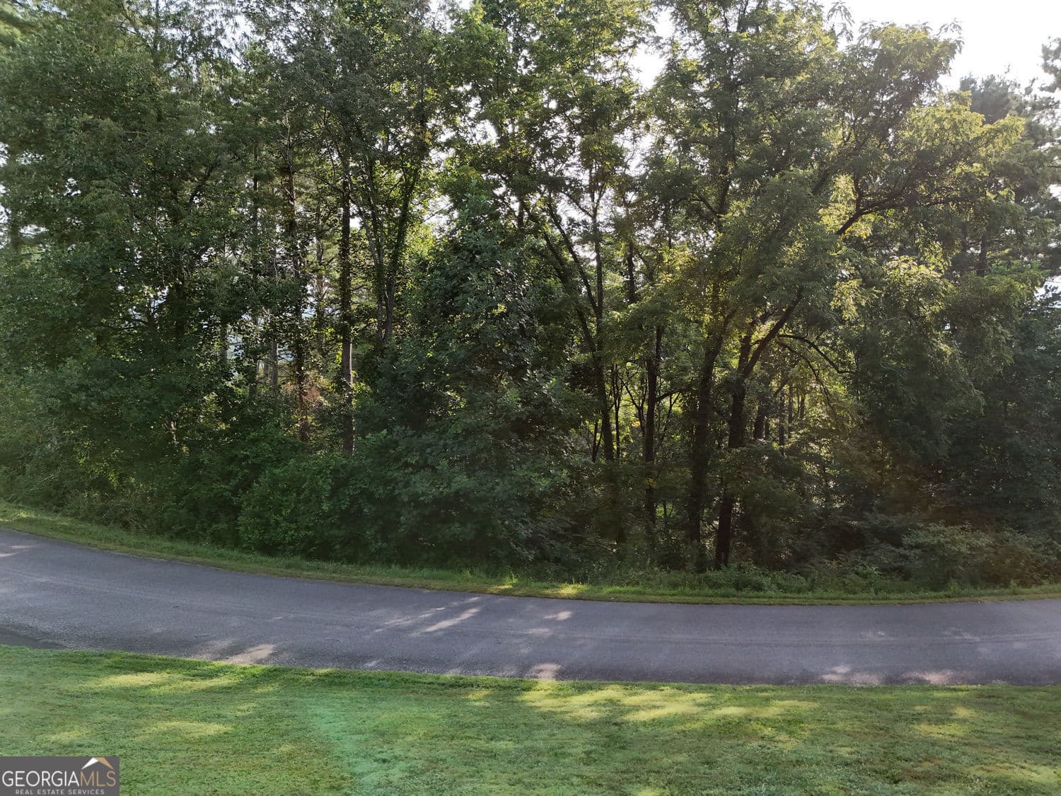residential lot for sale at LOT 4 River Lake Estates, Blairsville, GA 30512 — photo 9