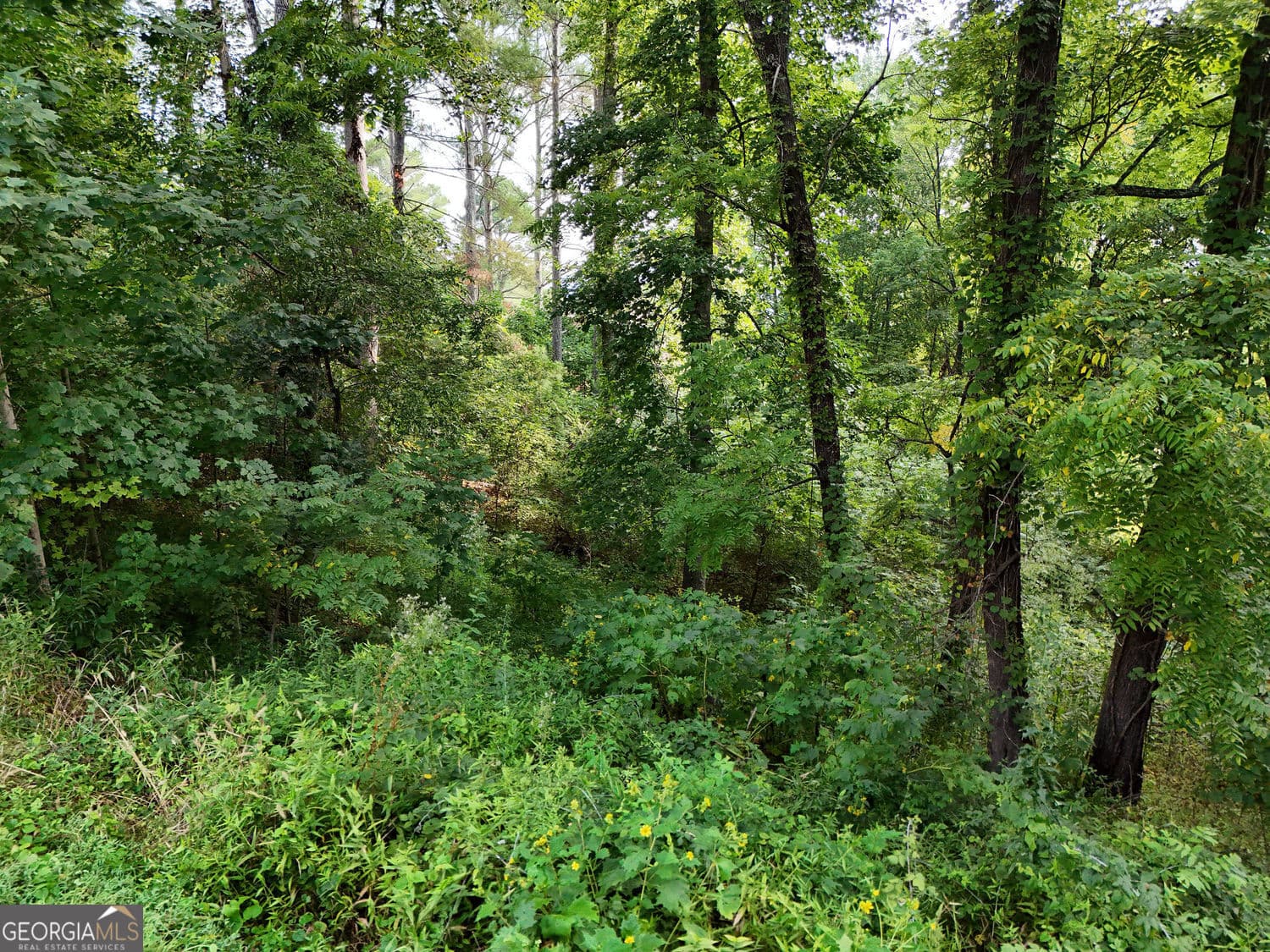 residential lot for sale at LOT 4 River Lake Estates, Blairsville, GA 30512 — photo 10
