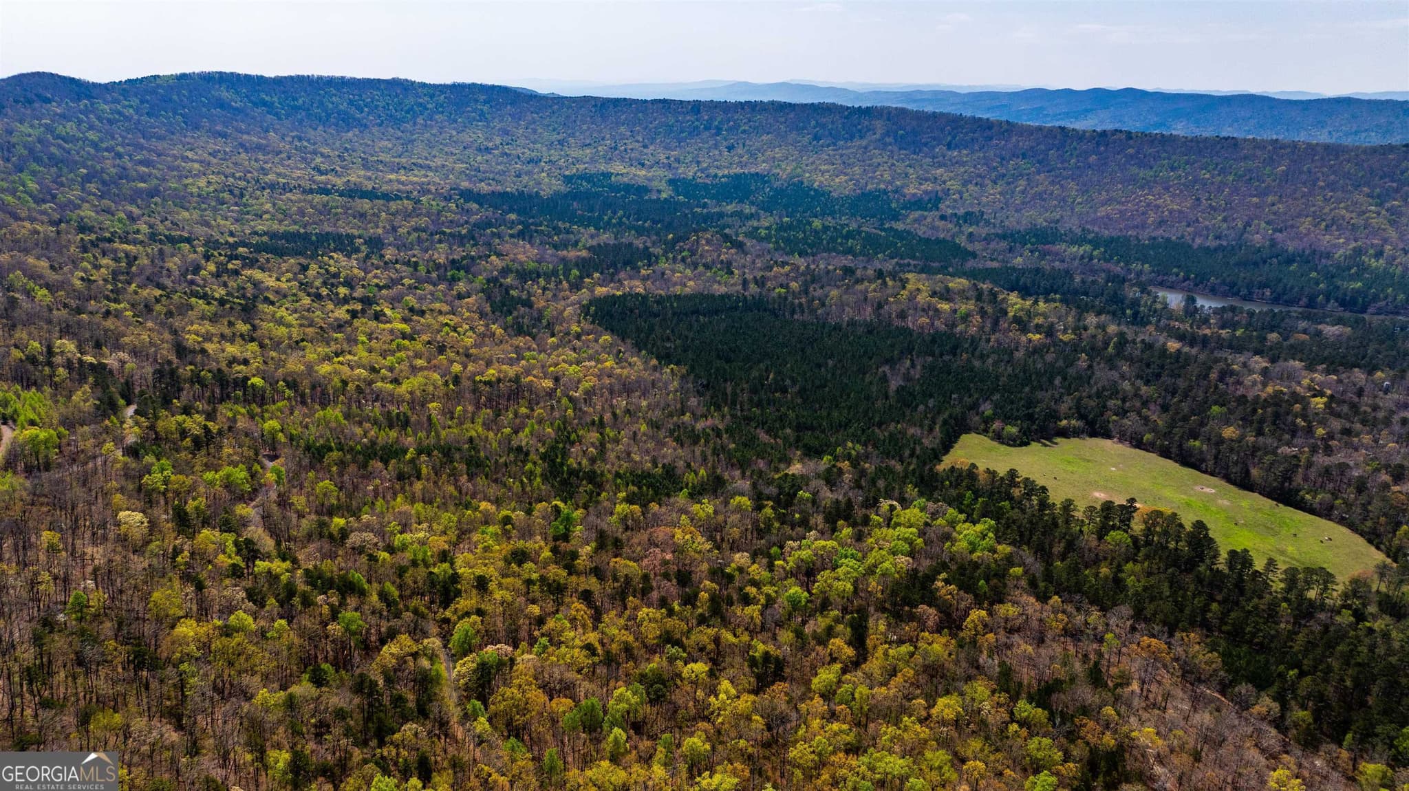 agriculture for sale at 450 Lake Marvin Road, Armuchee, GA 30105 — photo 3