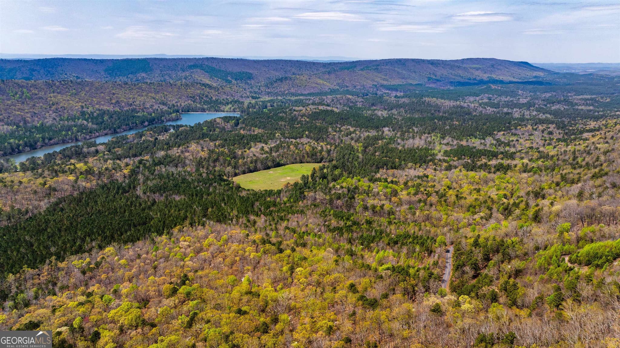 agriculture for sale at 450 Lake Marvin Road, Armuchee, GA 30105 — photo 5