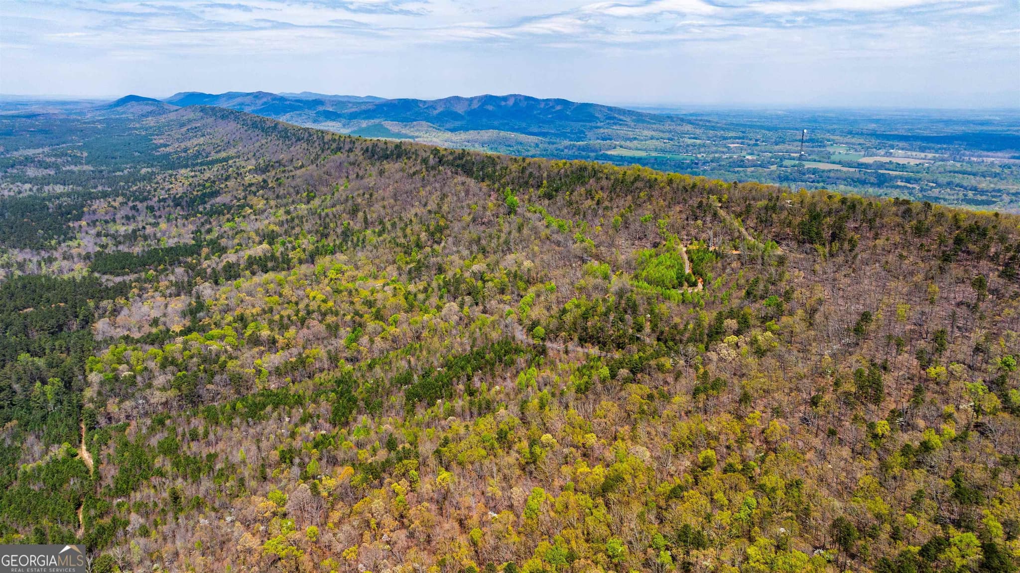 agriculture for sale at 450 Lake Marvin Road, Armuchee, GA 30105 — photo 4