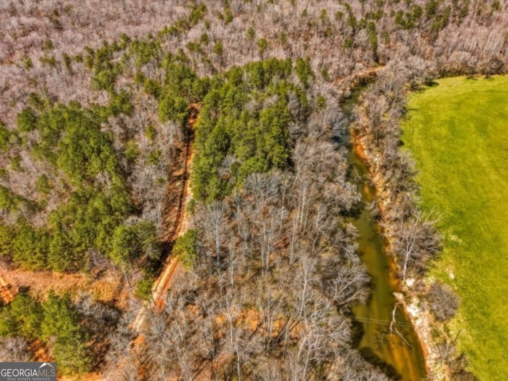 unimproved land for sale at 0B Hubbardsville Circle B, Dawsonville, GA 30534 — photo 2