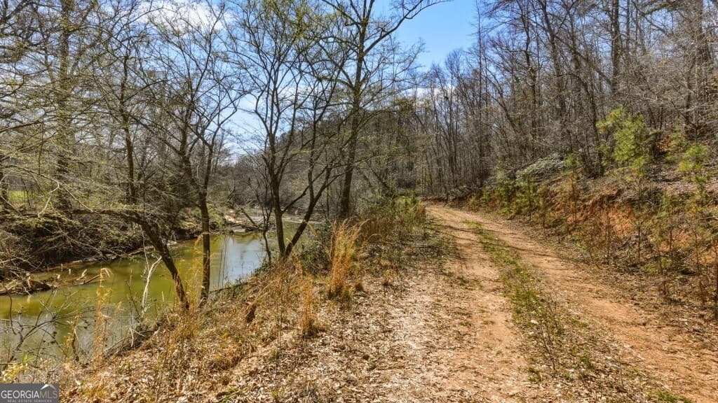unimproved land for sale at 0B Hubbardsville Circle B, Dawsonville, GA 30534 — photo 6