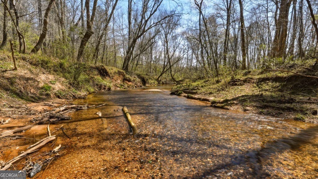 unimproved land for sale at 0B Hubbardsville Circle B, Dawsonville, GA 30534 — photo 7