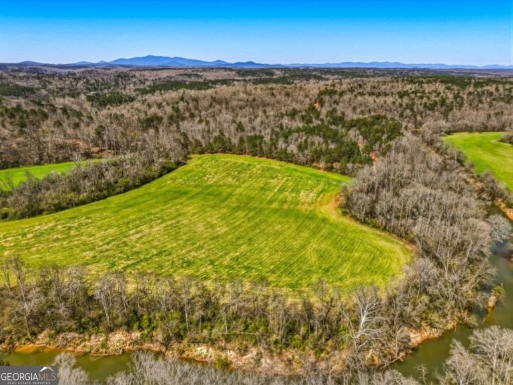 unimproved land for sale at 0B Hubbardsville Circle B, Dawsonville, GA 30534 — photo 3