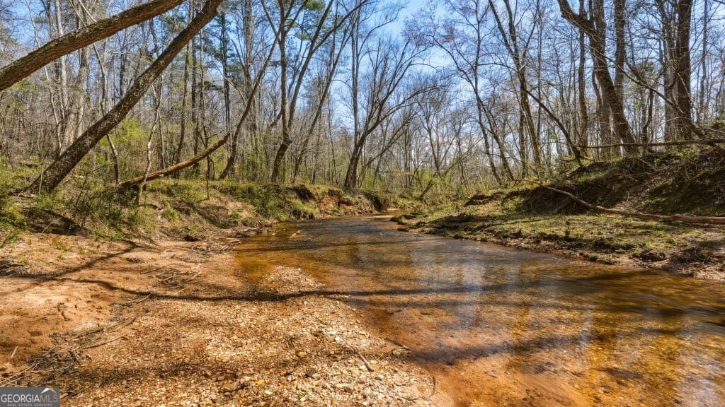 unimproved land for sale at 0B Hubbardsville Circle B, Dawsonville, GA 30534 — photo 5