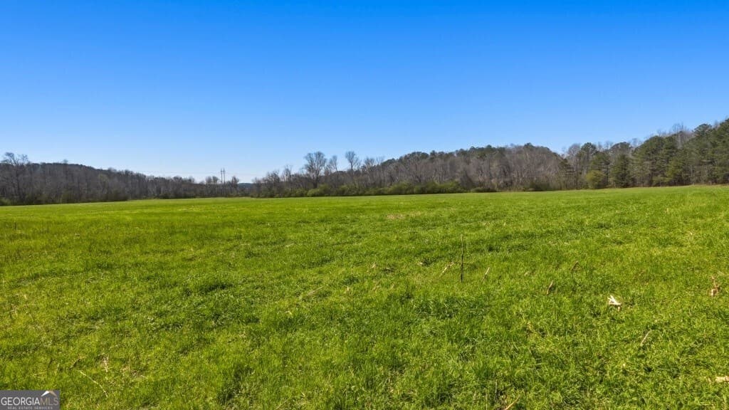 unimproved land for sale at 0B Hubbardsville Circle B, Dawsonville, GA 30534 — photo 9