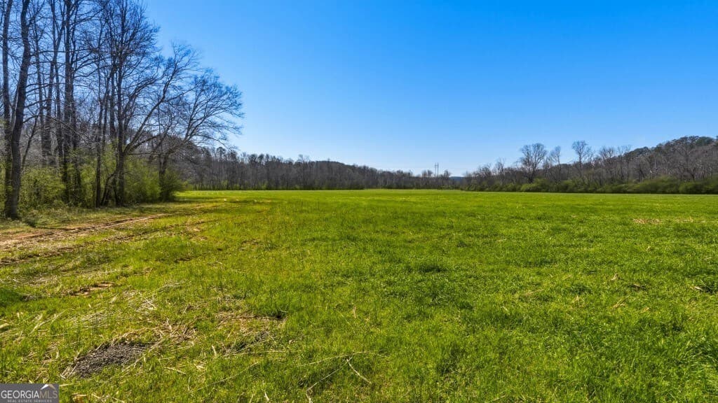 unimproved land for sale at 0B Hubbardsville Circle B, Dawsonville, GA 30534 — photo 10