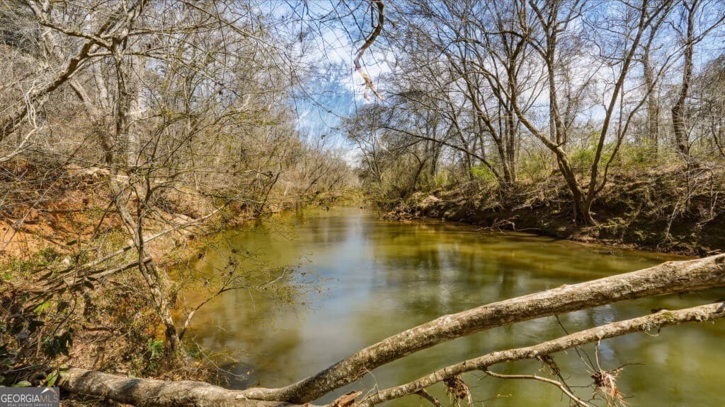 unimproved land for sale at 0B Hubbardsville Circle B, Dawsonville, GA 30534 — photo 8