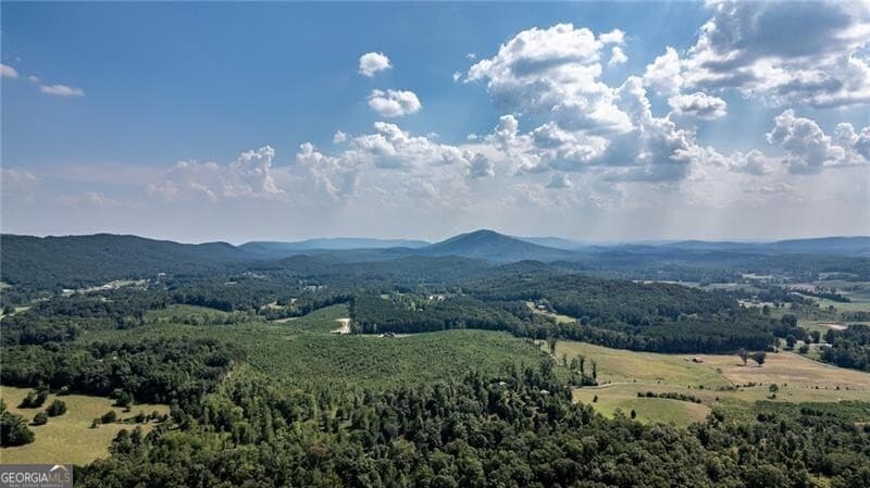 unimproved land for sale at 0 Clement Road, Lafayette, GA 30728 — photo 6