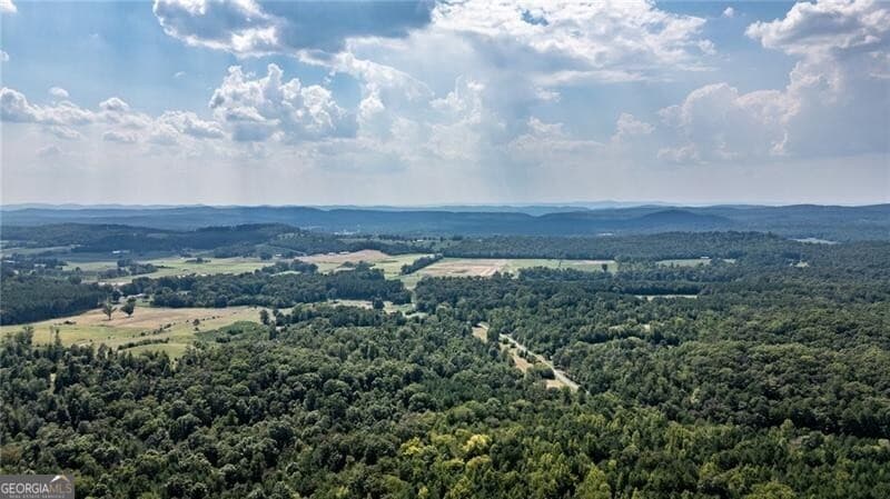 unimproved land for sale at 0 Clement Road, Lafayette, GA 30728 — photo 7