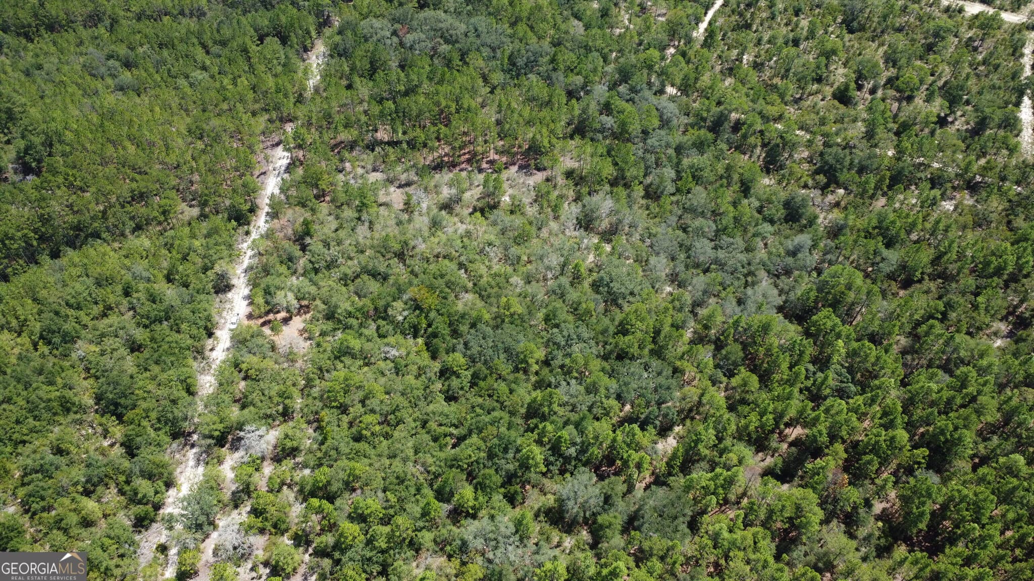 agriculture for sale at LOT 4 Porter Road, Pembroke, GA 31321 — photo 2