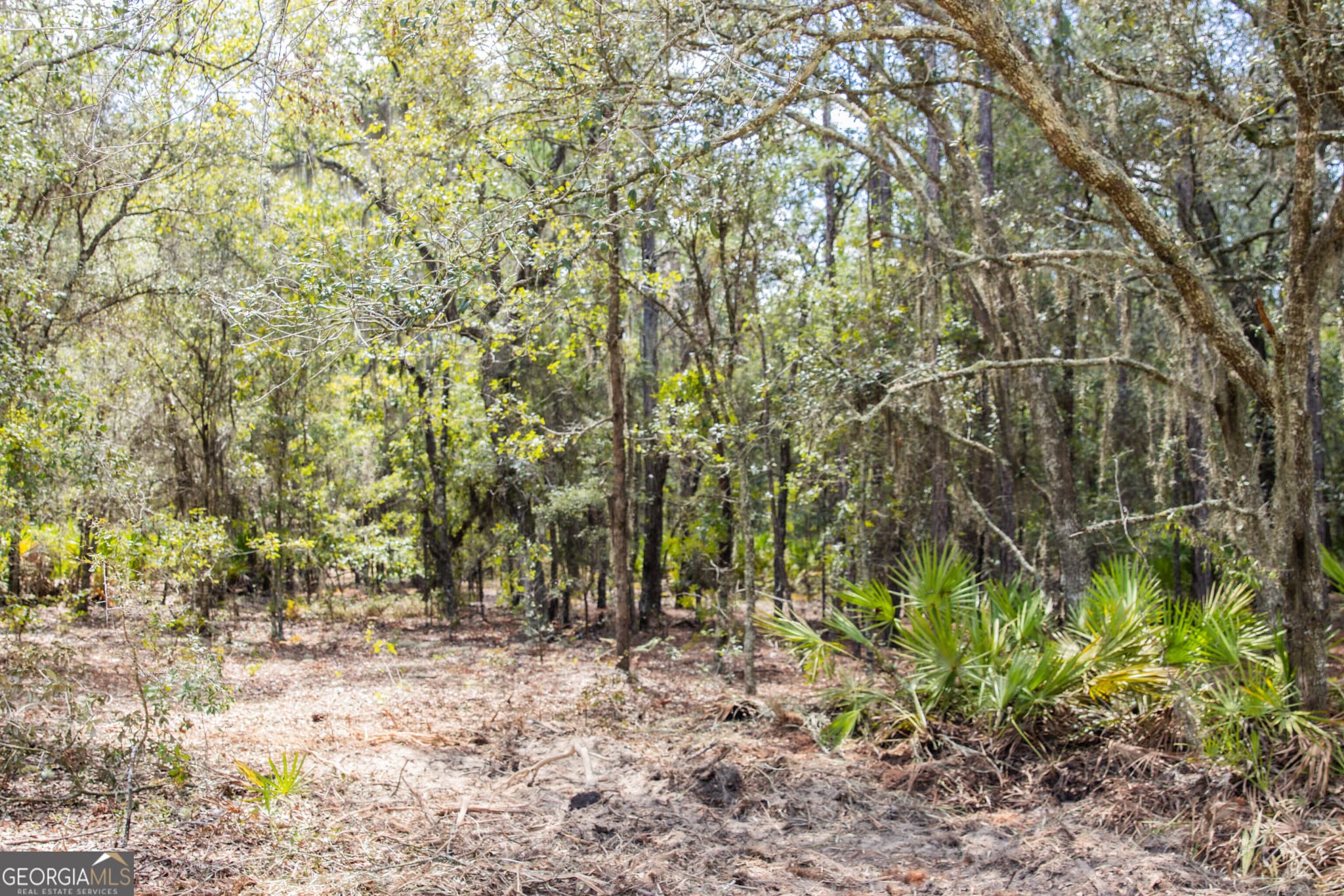 agriculture for sale at LOT 4 Porter Road, Pembroke, GA 31321 — photo 6