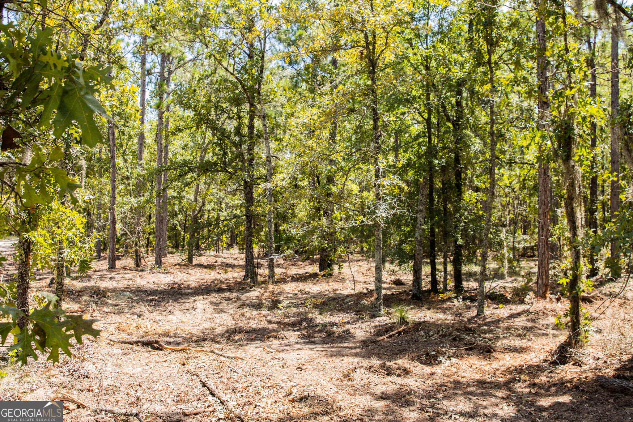 agriculture for sale at LOT 4 Porter Road, Pembroke, GA 31321 — photo 7