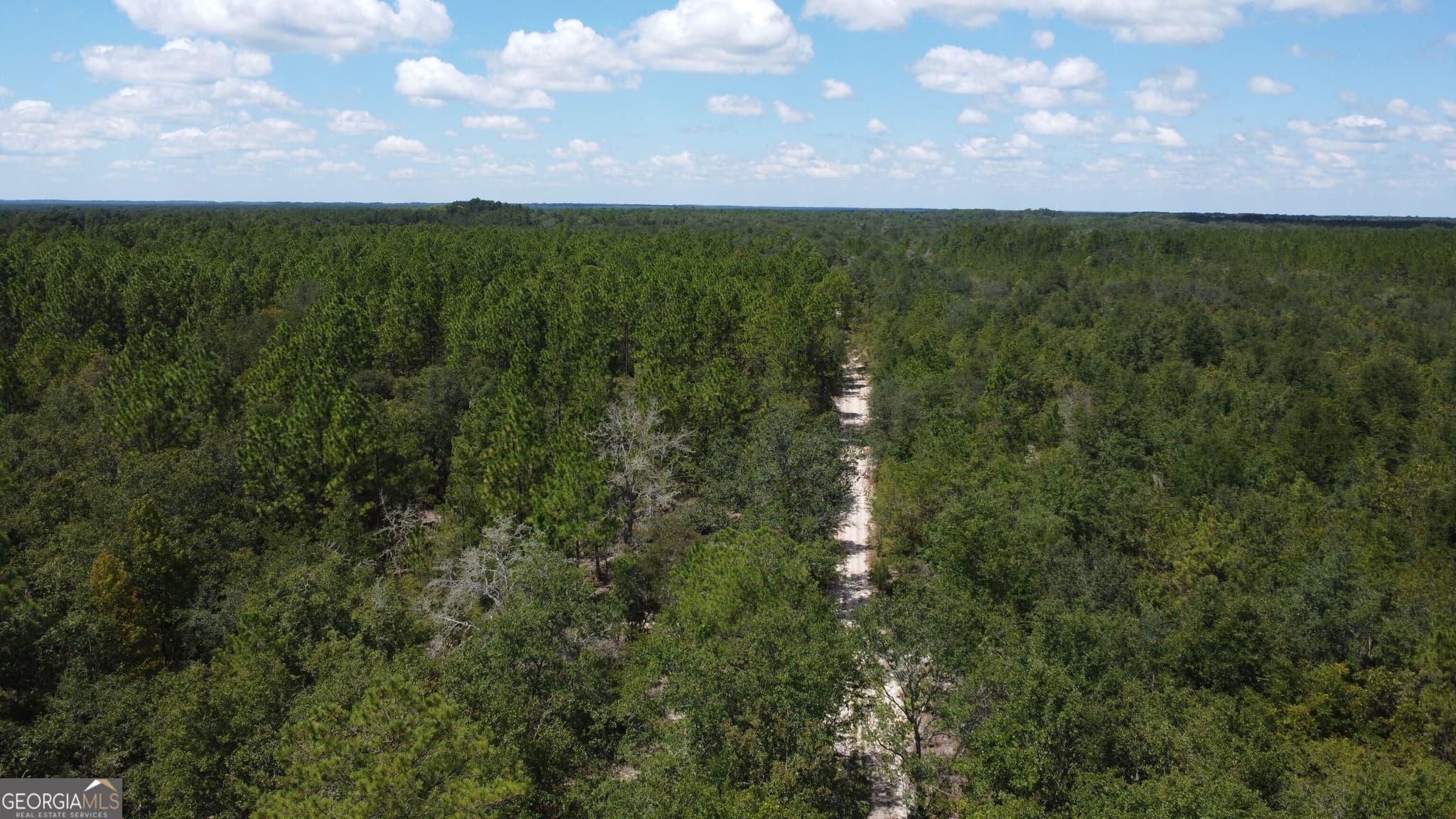 agriculture for sale at LOT 4 Porter Road, Pembroke, GA 31321 — photo 3