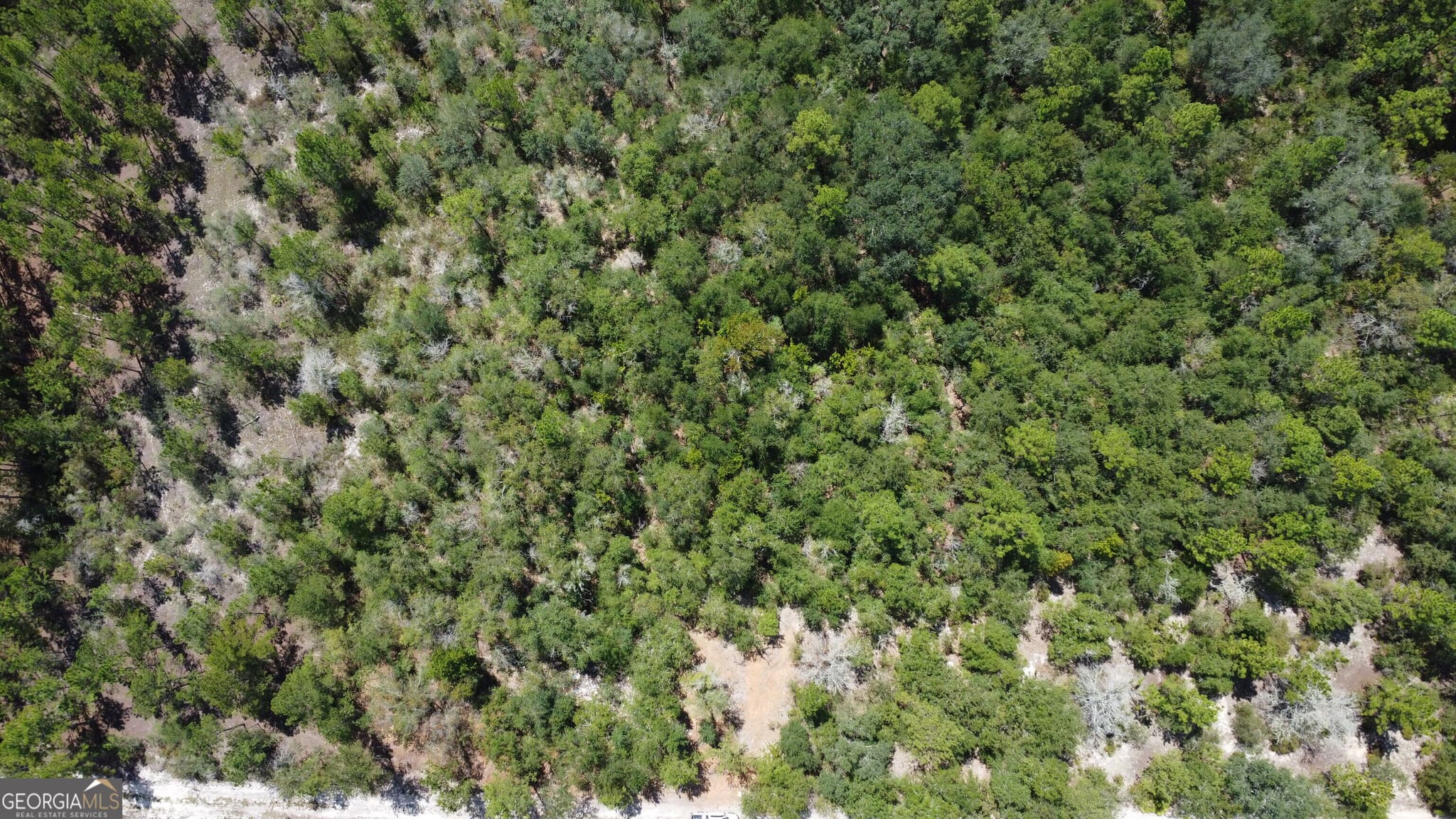 agriculture for sale at LOT 4 Porter Road, Pembroke, GA 31321
