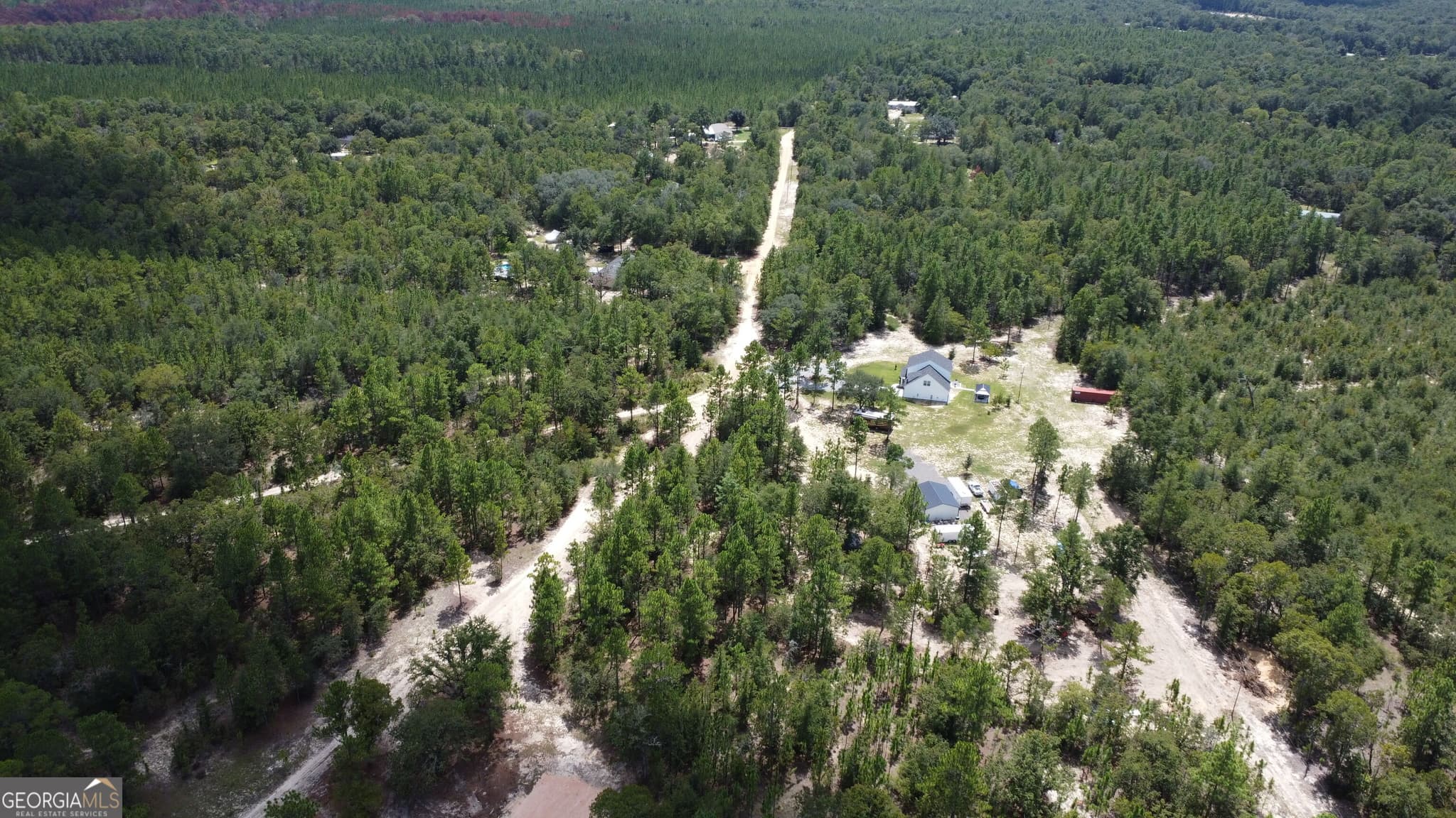 agriculture for sale at LOT 4 Porter Road, Pembroke, GA 31321 — photo 4