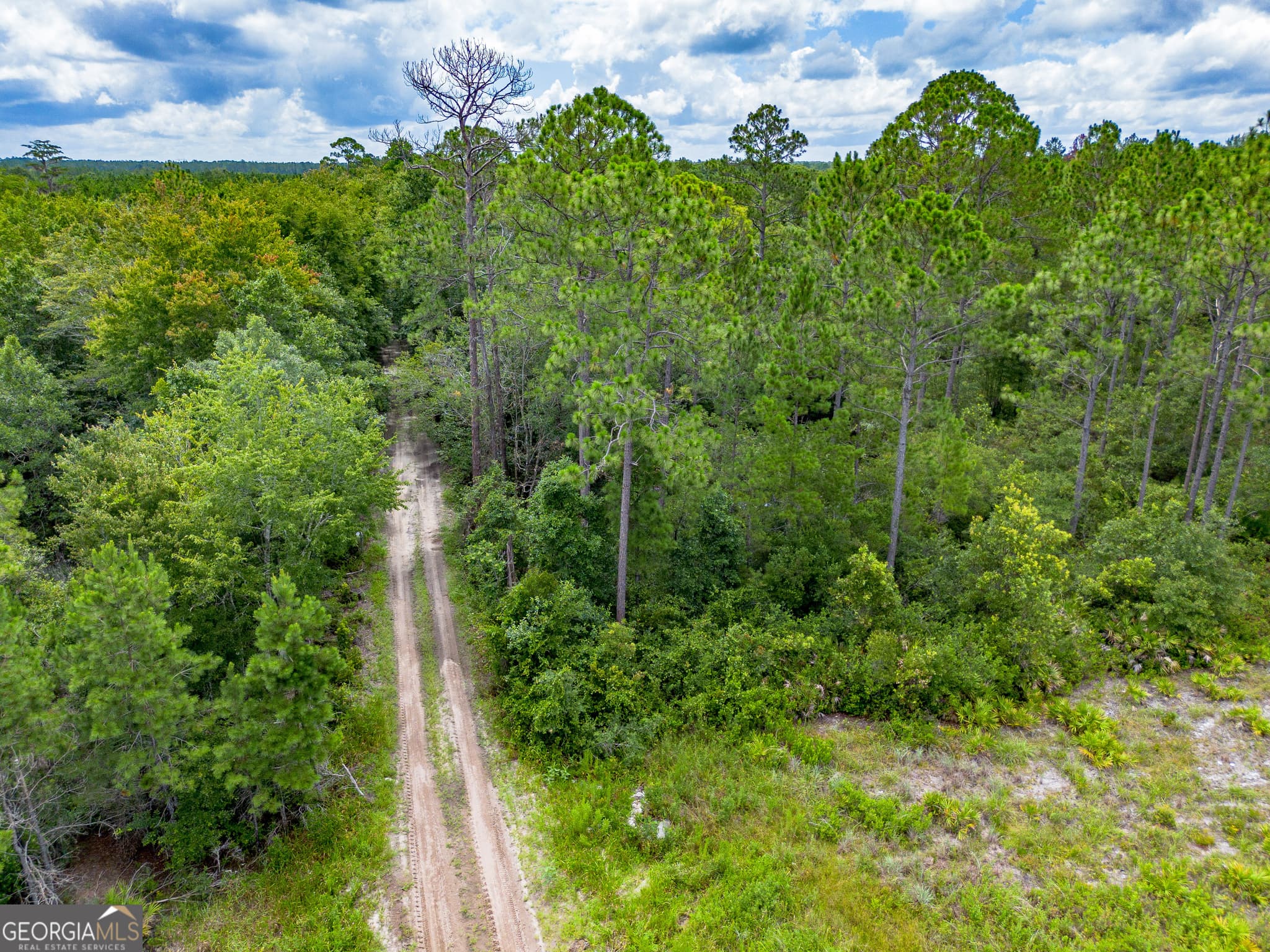 agriculture for sale at TRACT 1 Sunset Boulevard, Jesup, GA 31546 — photo 7