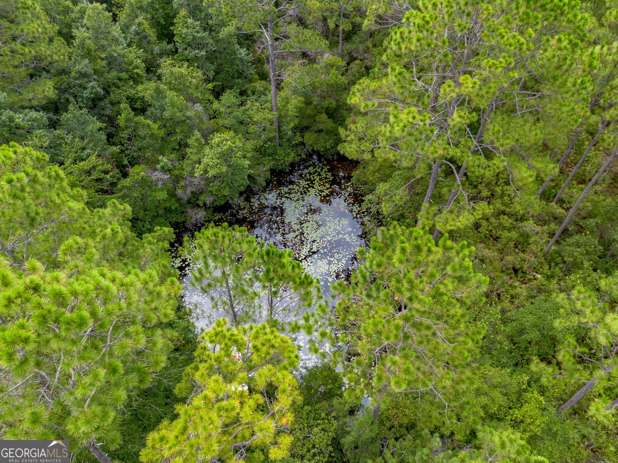 agriculture for sale at TRACT 1 Sunset Boulevard, Jesup, GA 31546 — photo 8