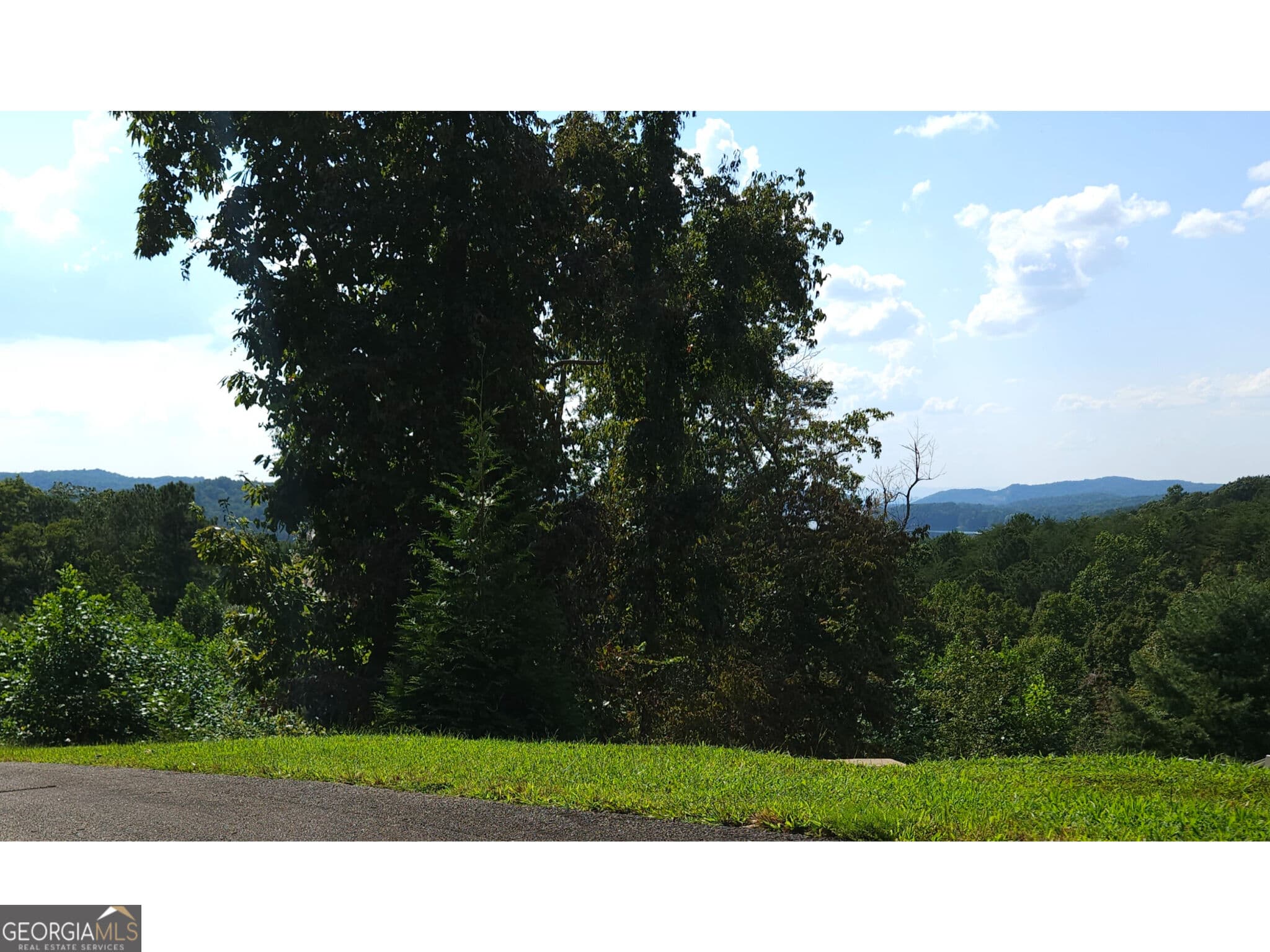 residential lot for sale at LOT 241 Carters View Lane, Ellijay, GA 30540 — photo 6