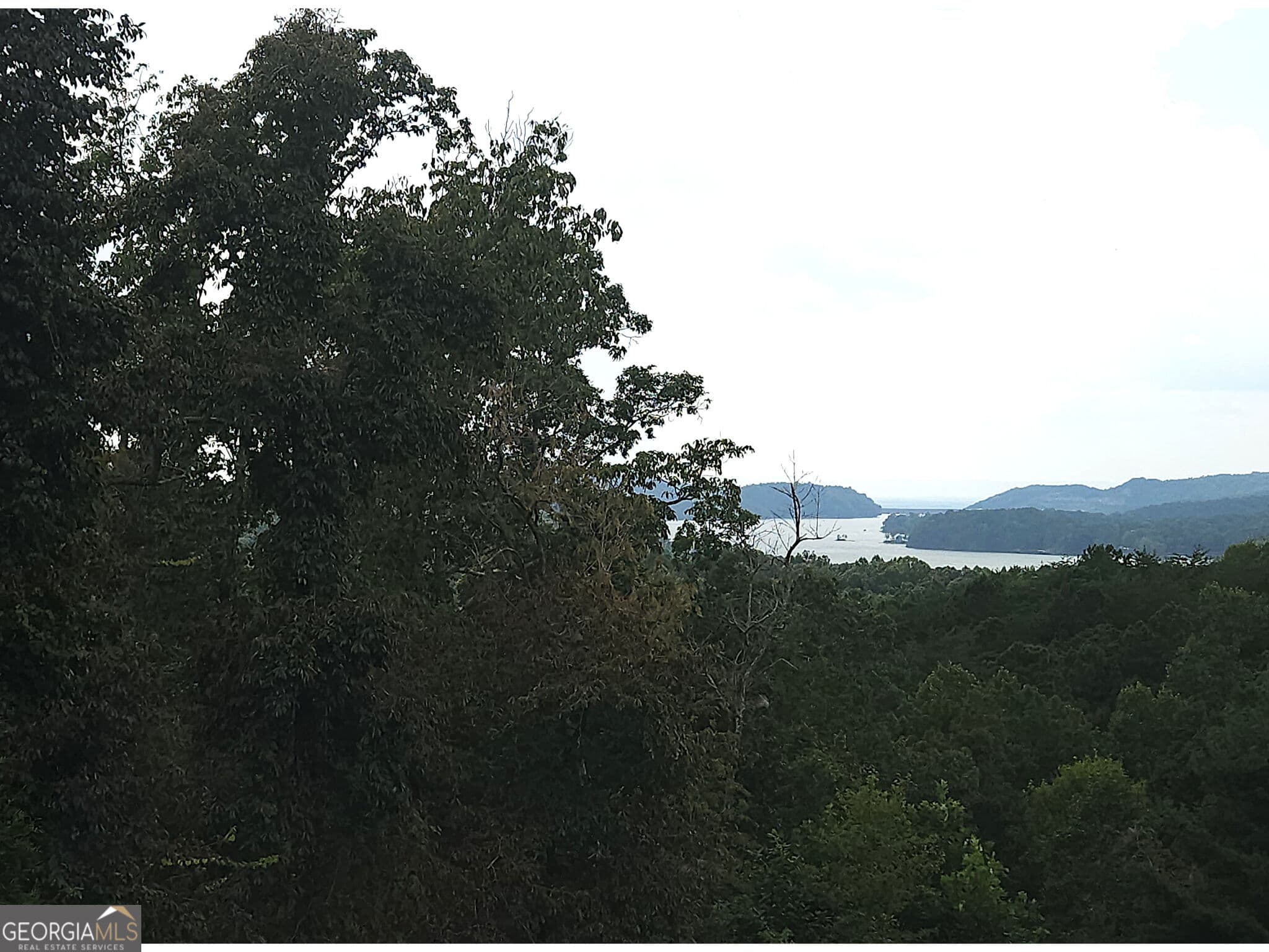 residential lot for sale at LOT 241 Carters View Lane, Ellijay, GA 30540 — photo 7