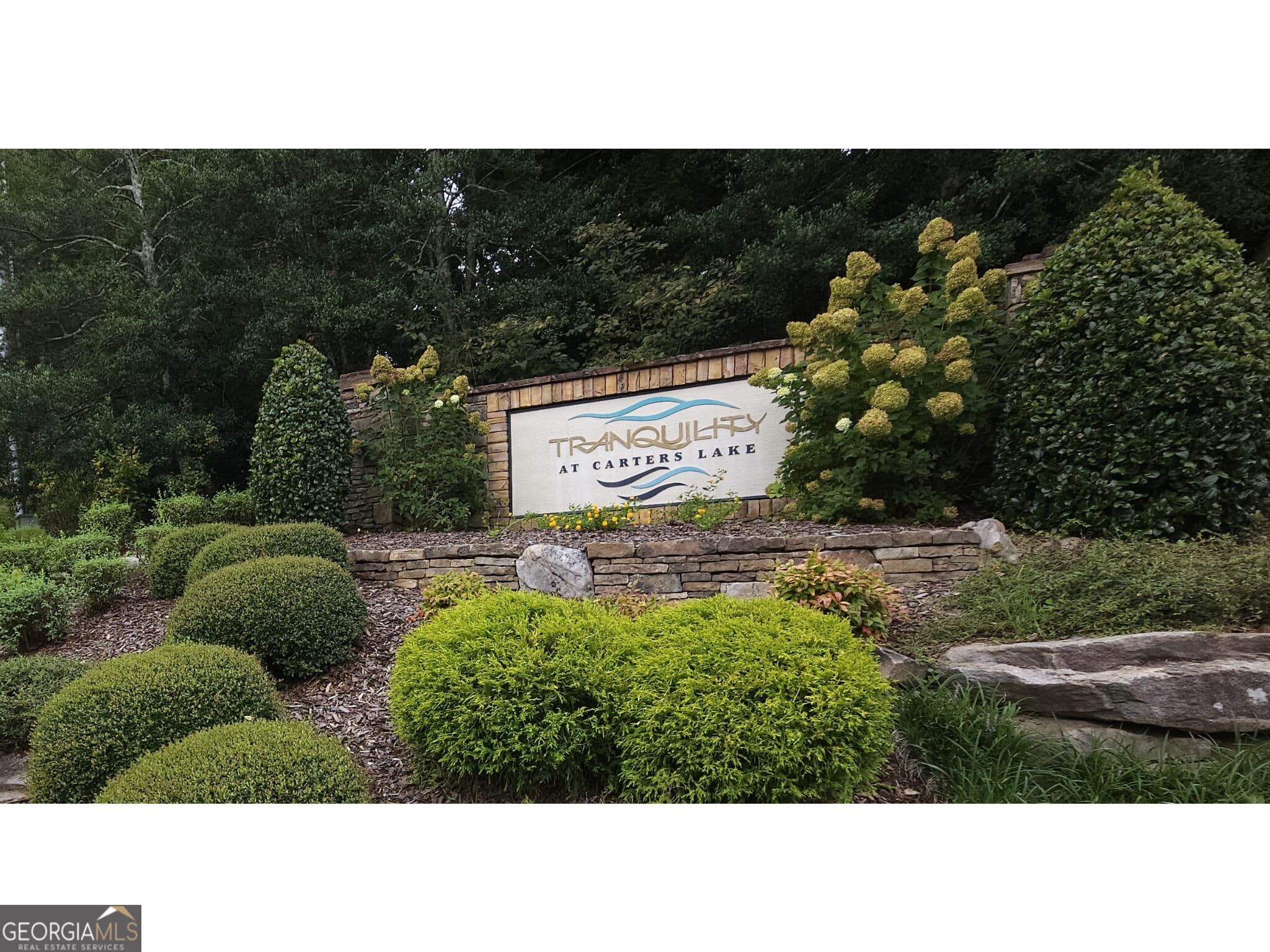 residential lot for sale at LOT 241 Carters View Lane, Ellijay, GA 30540 — photo 3