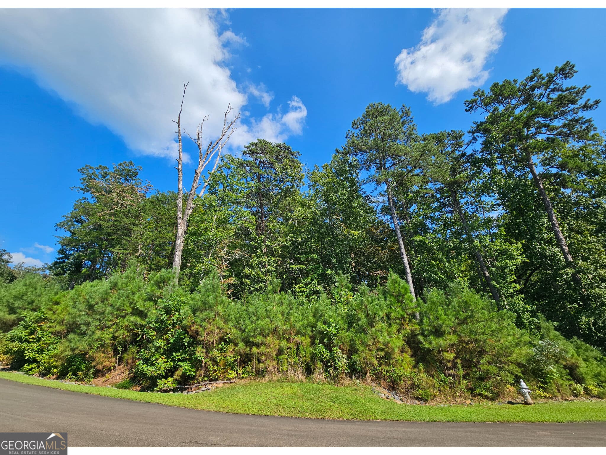 residential lot for sale at LOT 241 Carters View Lane, Ellijay, GA 30540 — photo 1 of 20