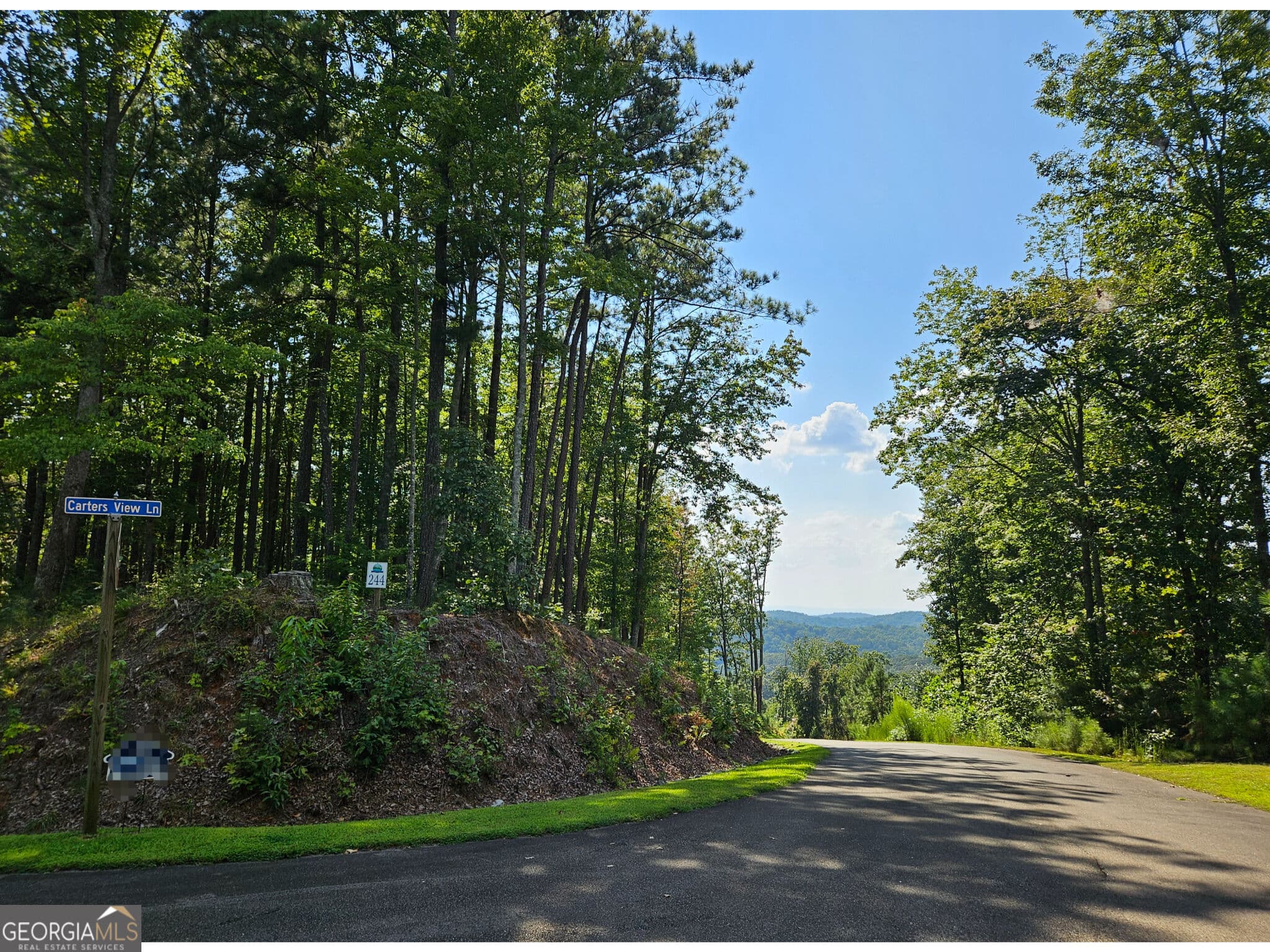 residential lot for sale at LOT 241 Carters View Lane, Ellijay, GA 30540 — photo 5