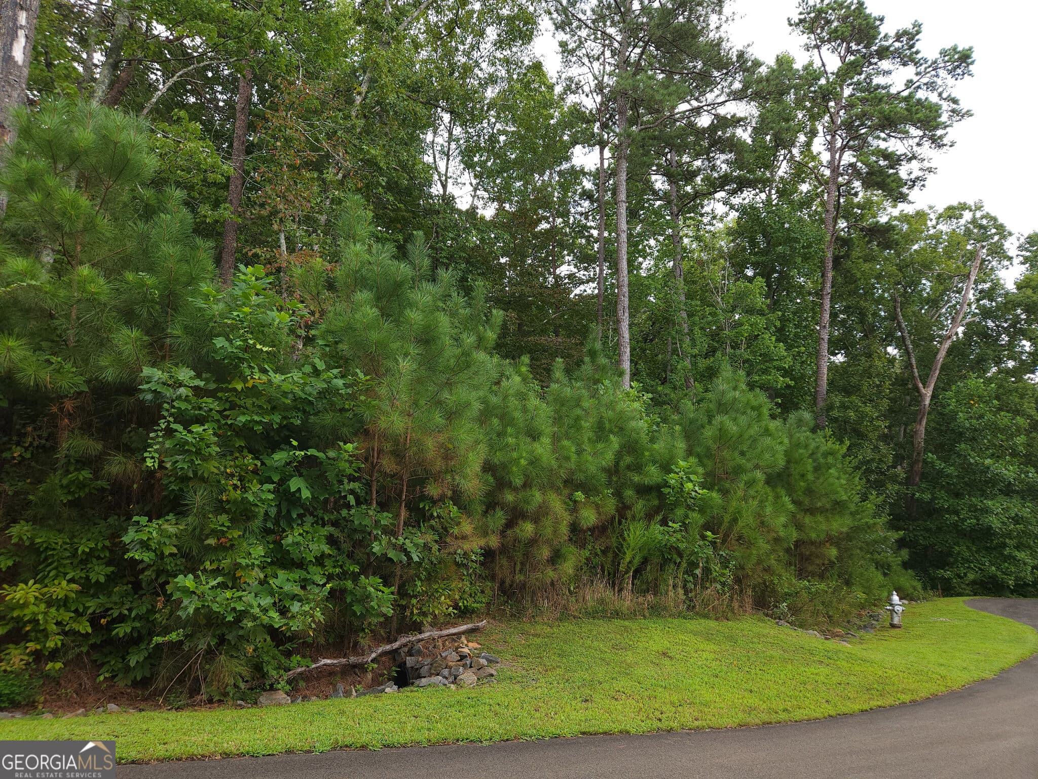 residential lot for sale at LOT 241 Carters View Lane, Ellijay, GA 30540 — photo 9