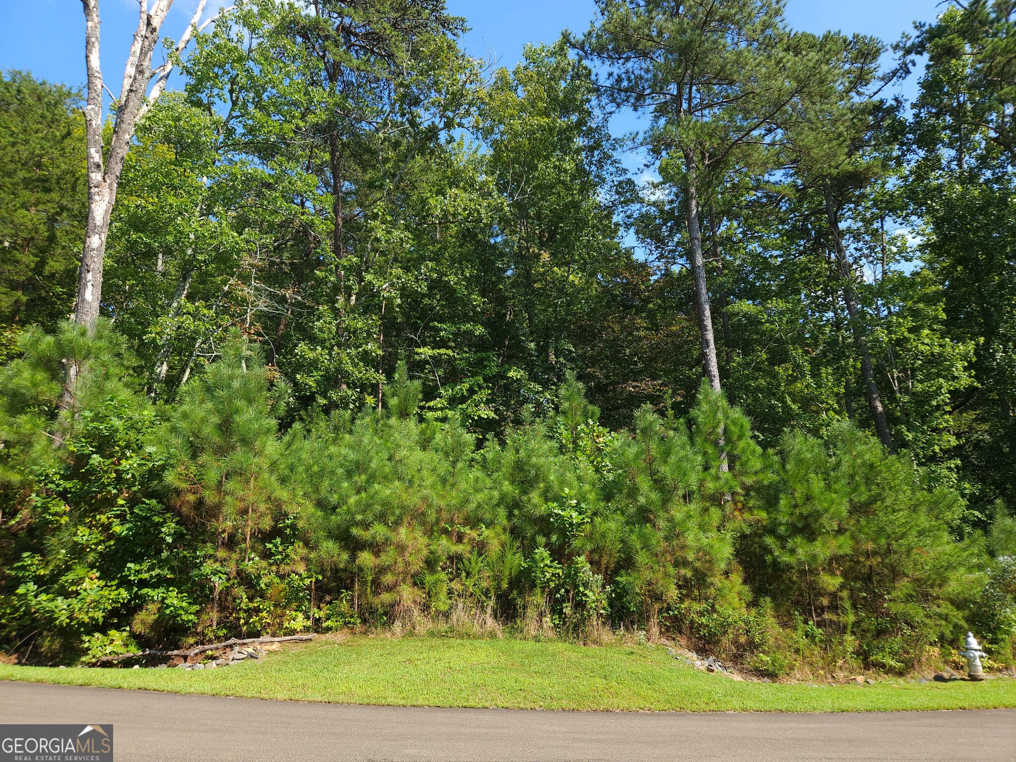 residential lot for sale at LOT 241 Carters View Lane, Ellijay, GA 30540 — photo 10