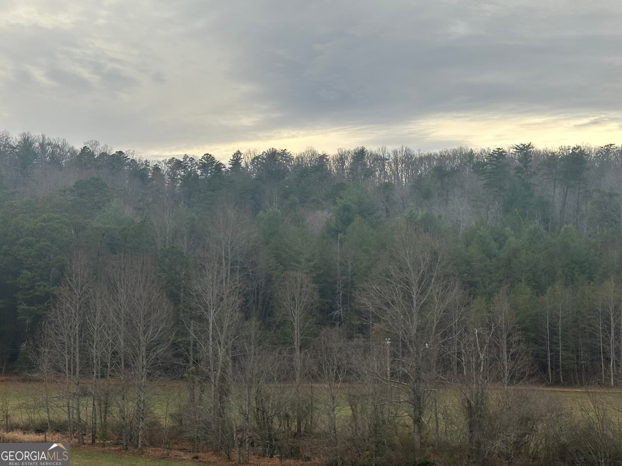 unimproved land for sale at 168 Warren Road, Blairsville, GA 30512 — photo 2