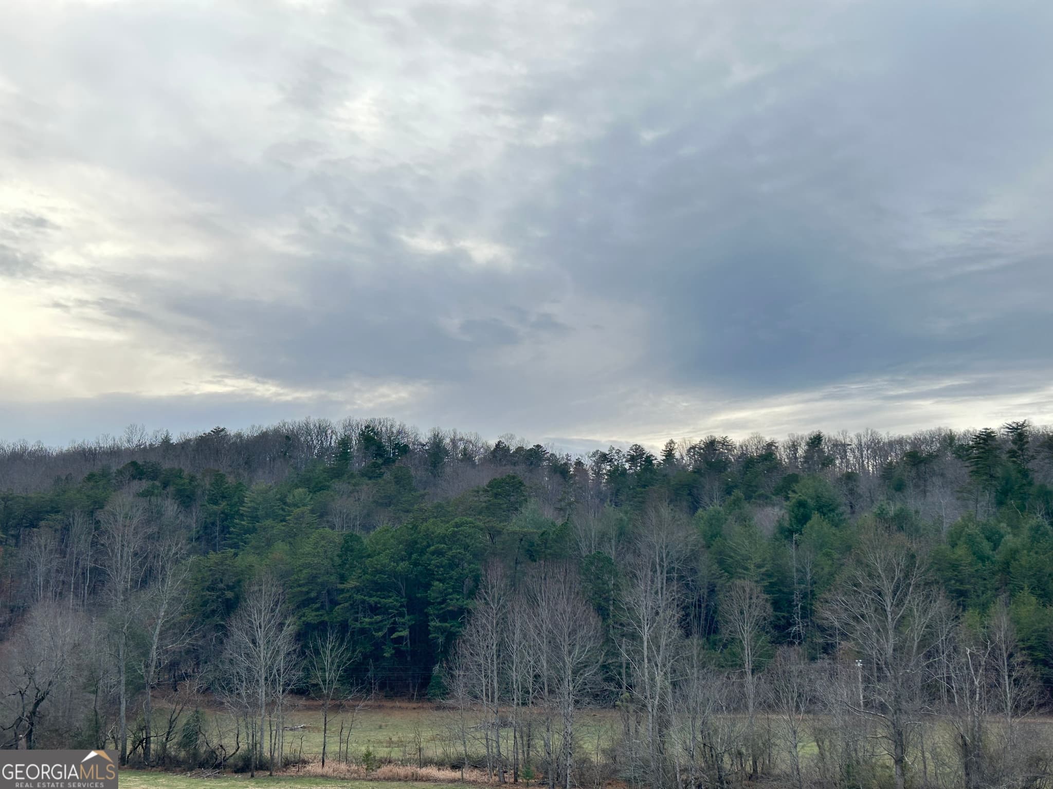 unimproved land for sale at 168 Warren Road, Blairsville, GA 30512 — photo 3