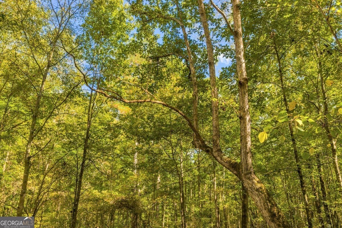 agriculture for sale at 0 Abercrombie Road, Forsyth, GA 31029 — photo 7