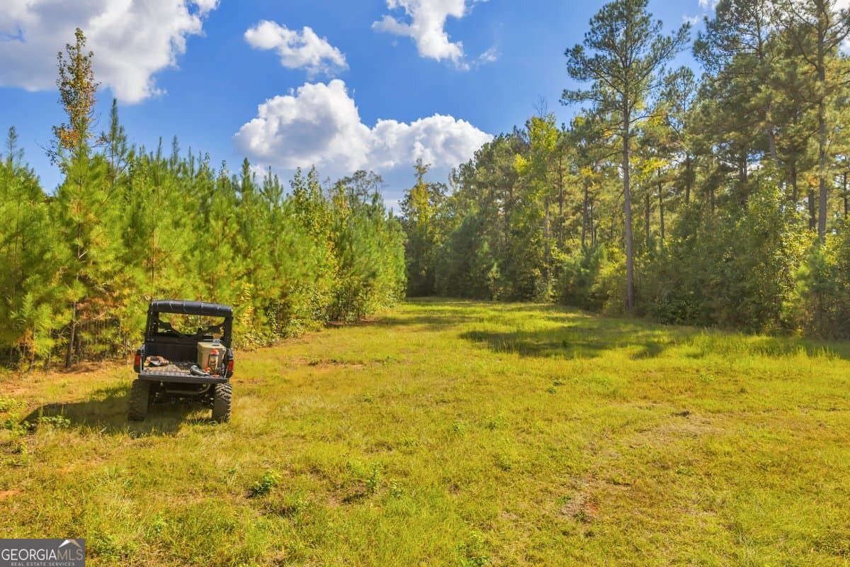 agriculture for sale at 0 Abercrombie Road, Forsyth, GA 31029 — photo 4