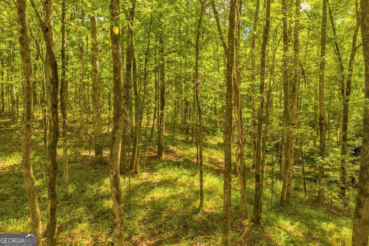 agriculture for sale at 0 Abercrombie Road, Forsyth, GA 31029 — photo 8
