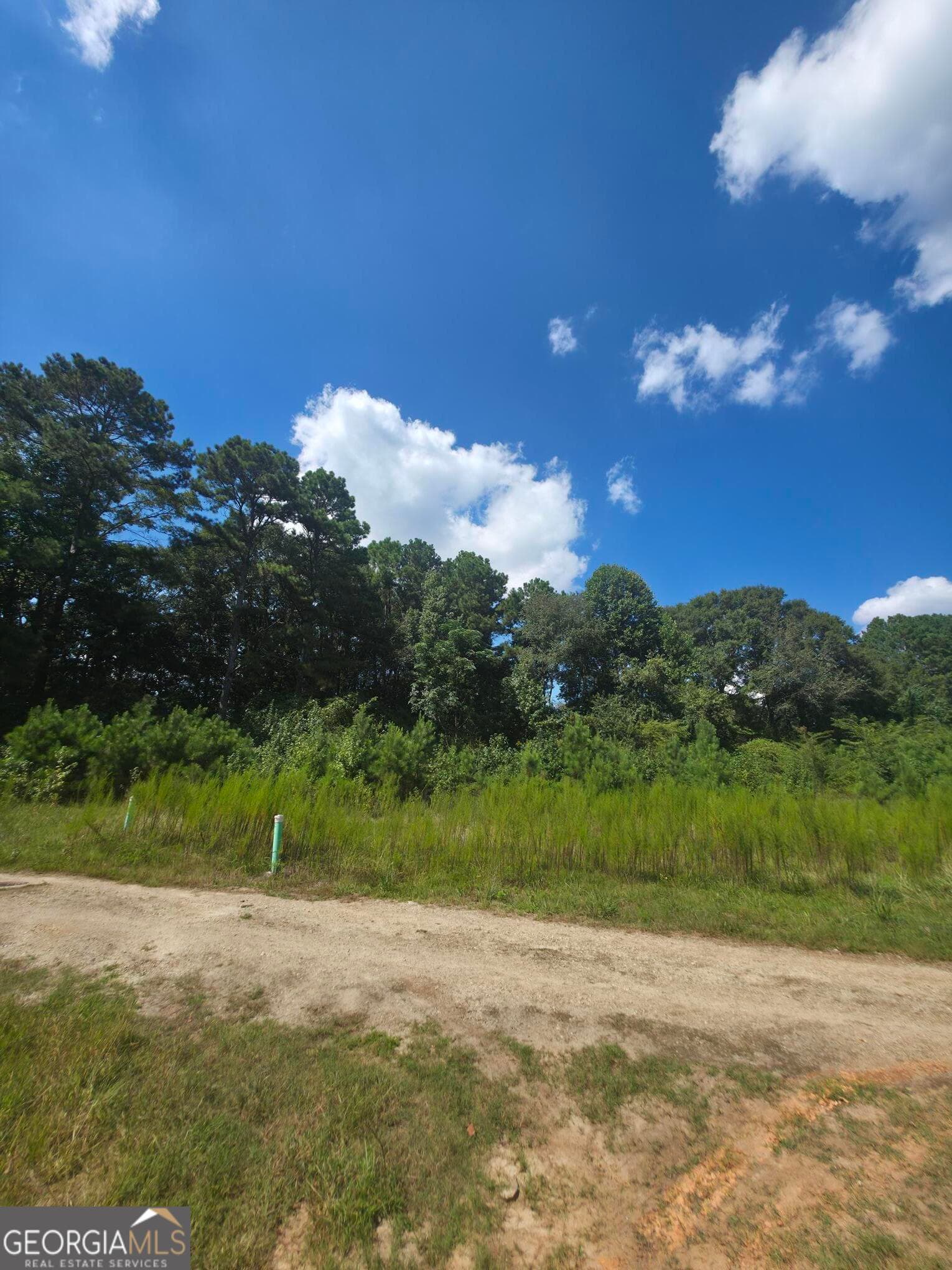 estate lot for sale at 74 Charlotte Circle, Statham, GA 30666 — photo 6