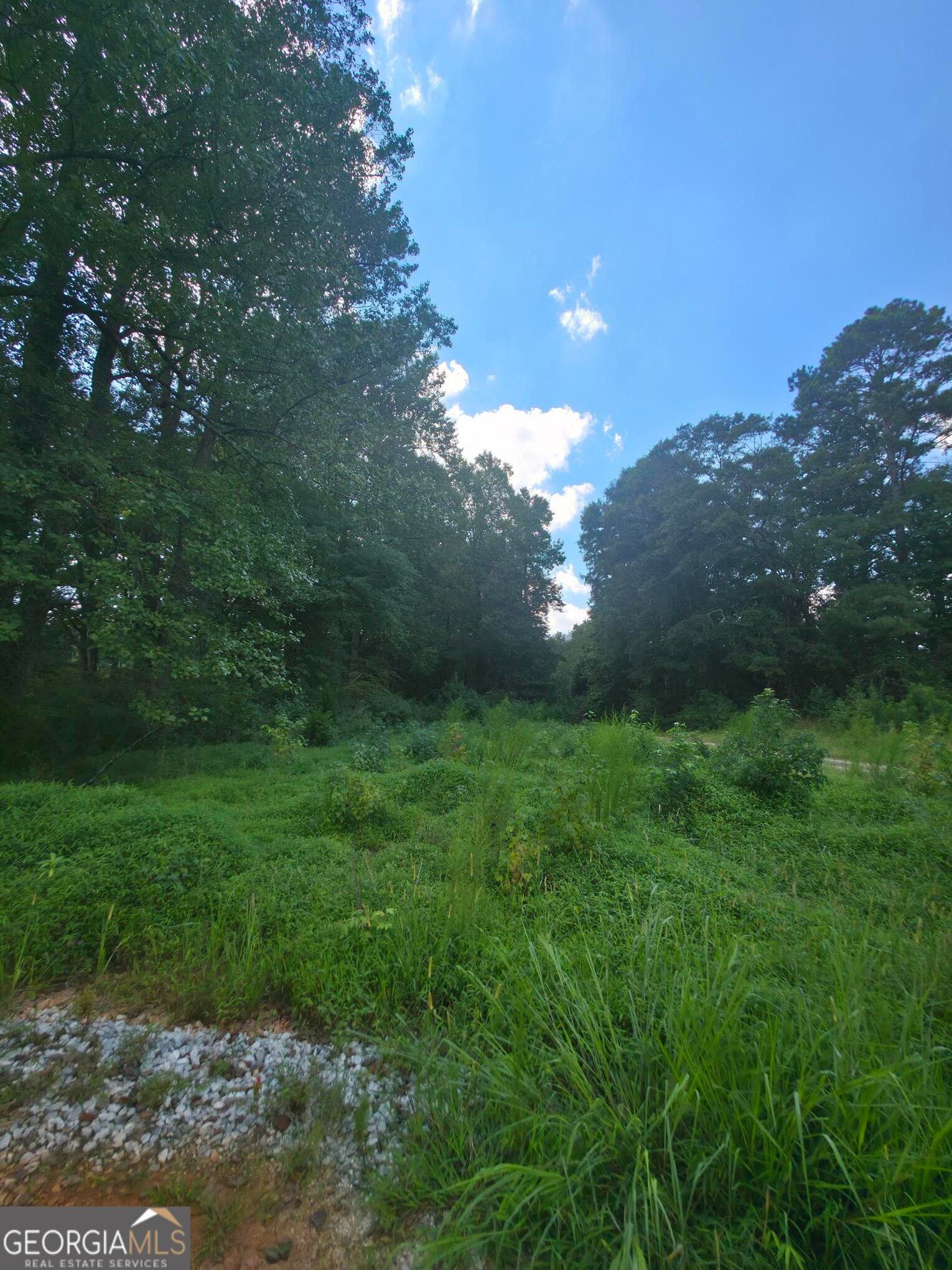 estate lot for sale at 74 Charlotte Circle, Statham, GA 30666 — photo 1 of 7