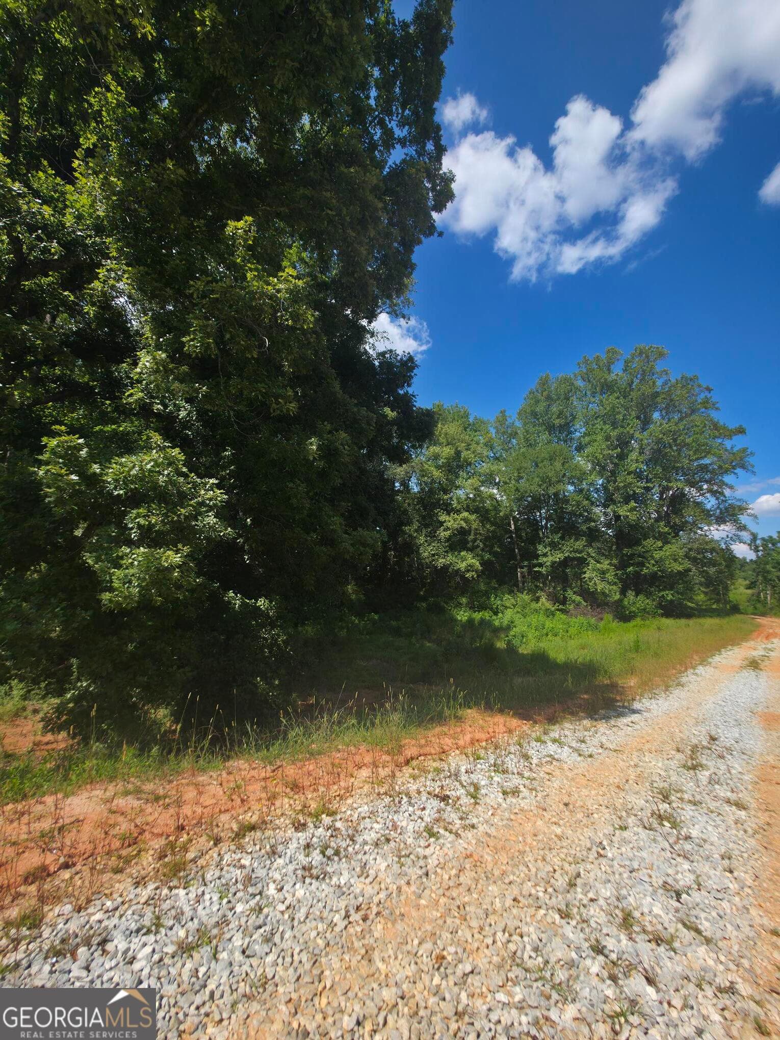 estate lot for sale at 74 Charlotte Circle, Statham, GA 30666 — photo 5