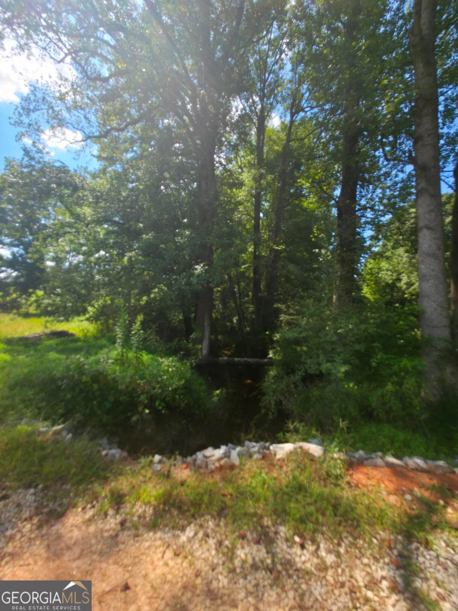 estate lot for sale at 74 Charlotte Circle, Statham, GA 30666 — photo 4