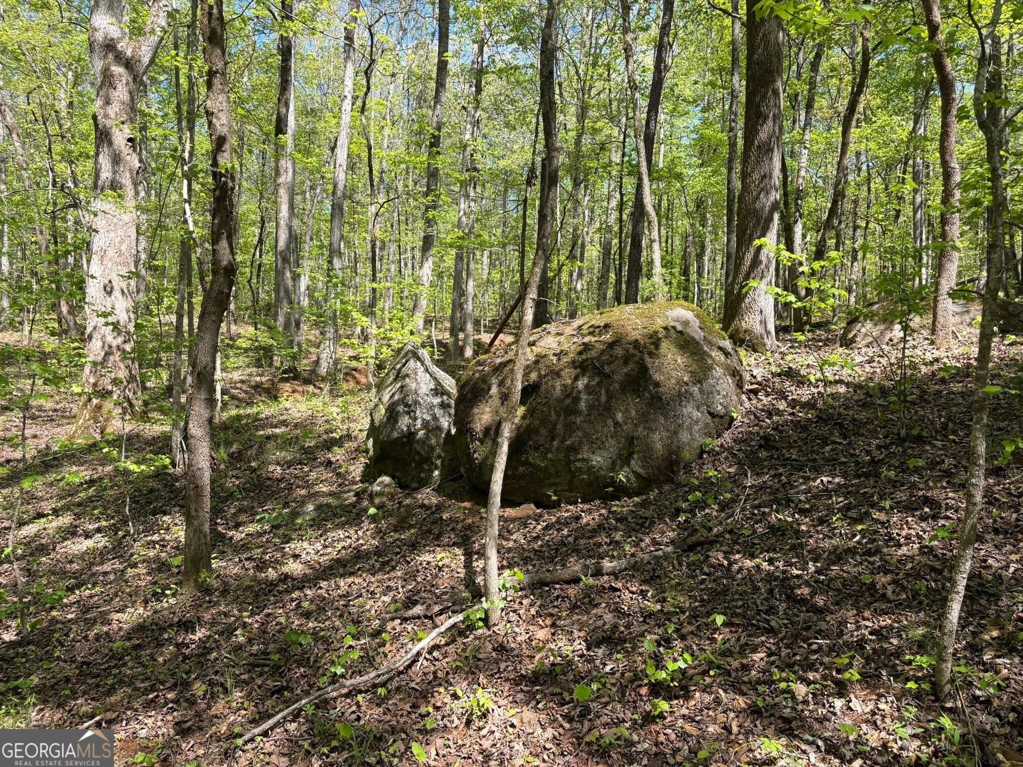 unimproved land for sale at 0 OFF North Taylor Road, Woodland, GA 31836 — photo 2