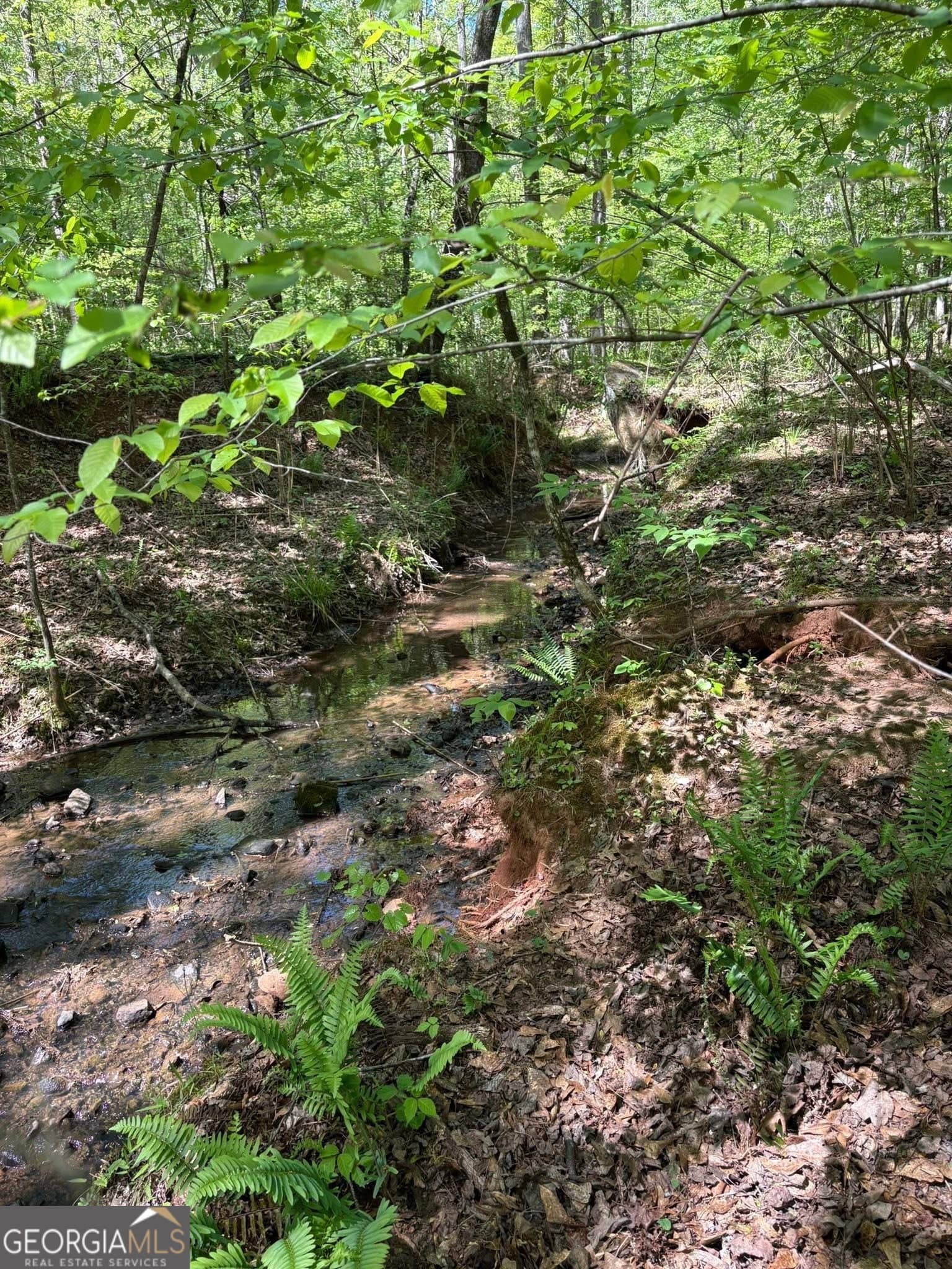 unimproved land for sale at 0 OFF North Taylor Road, Woodland, GA 31836 — photo 7