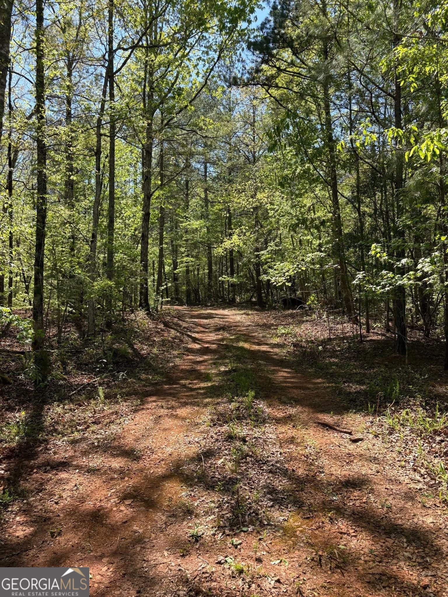 unimproved land for sale at 0 OFF North Taylor Road, Woodland, GA 31836 — photo 3