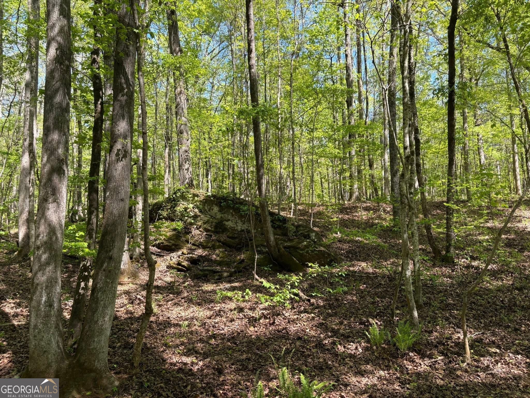 unimproved land for sale at 0 OFF North Taylor Road, Woodland, GA 31836 — photo 9