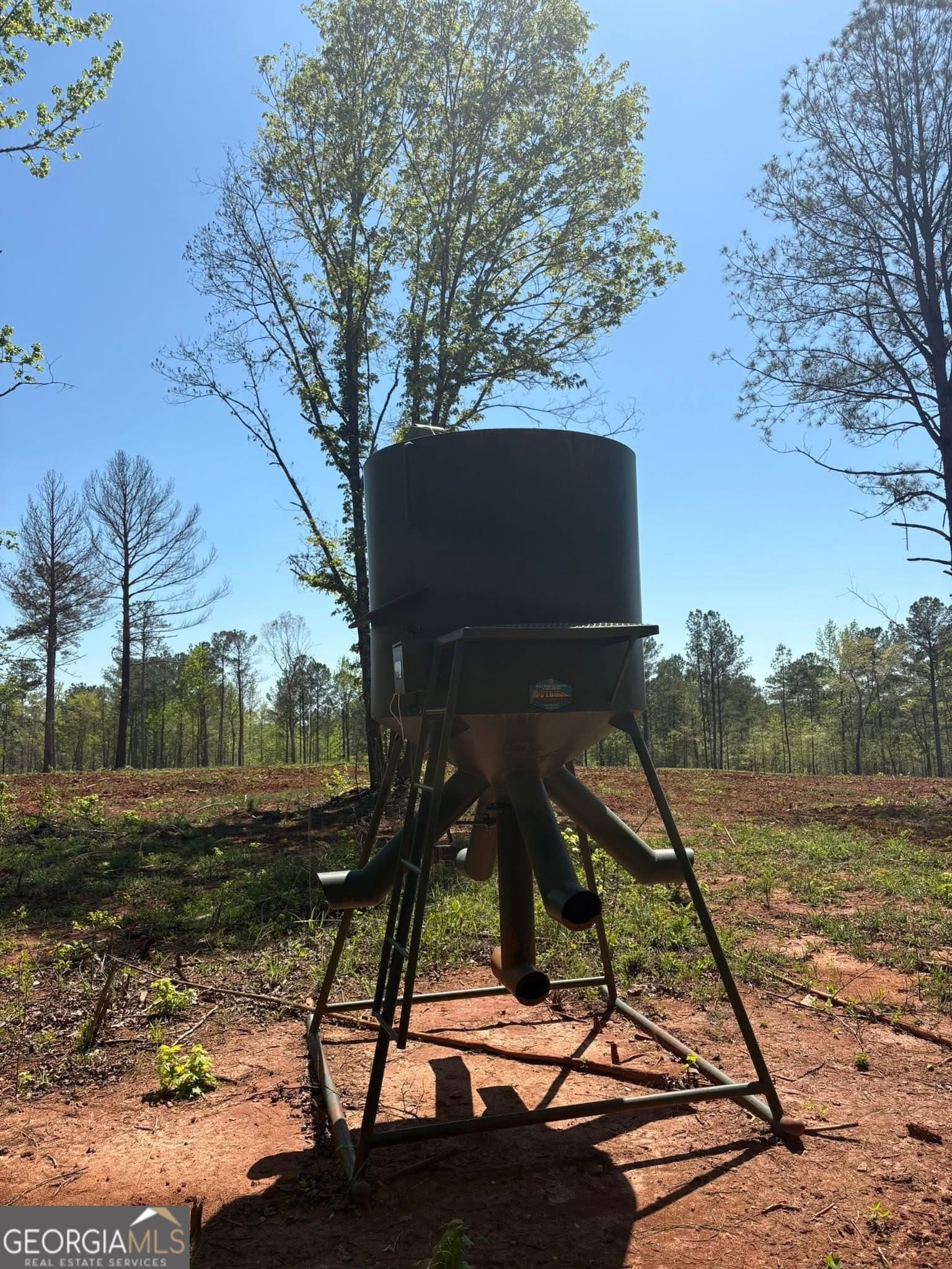 unimproved land for sale at 0 OFF North Taylor Road, Woodland, GA 31836 — photo 4