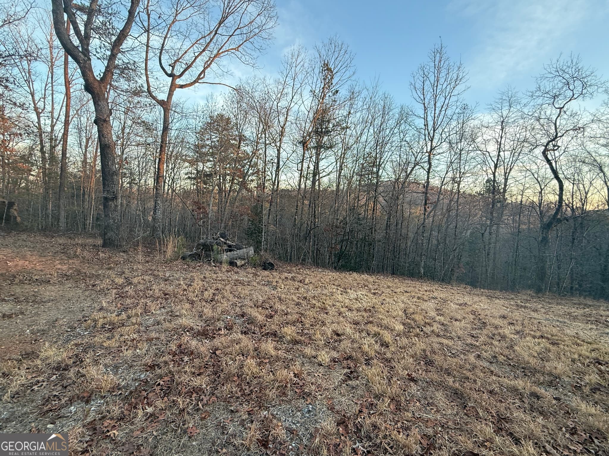 estate lot for sale at 426 Rockhouse Crossing, Demorest, GA 30535 — photo 2