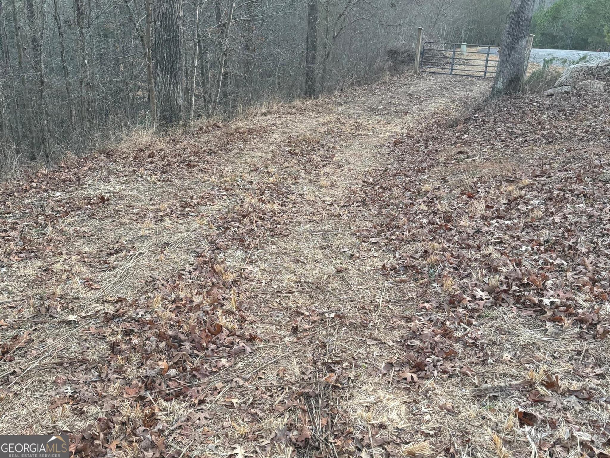 estate lot for sale at 426 Rockhouse Crossing, Demorest, GA 30535 — photo 6