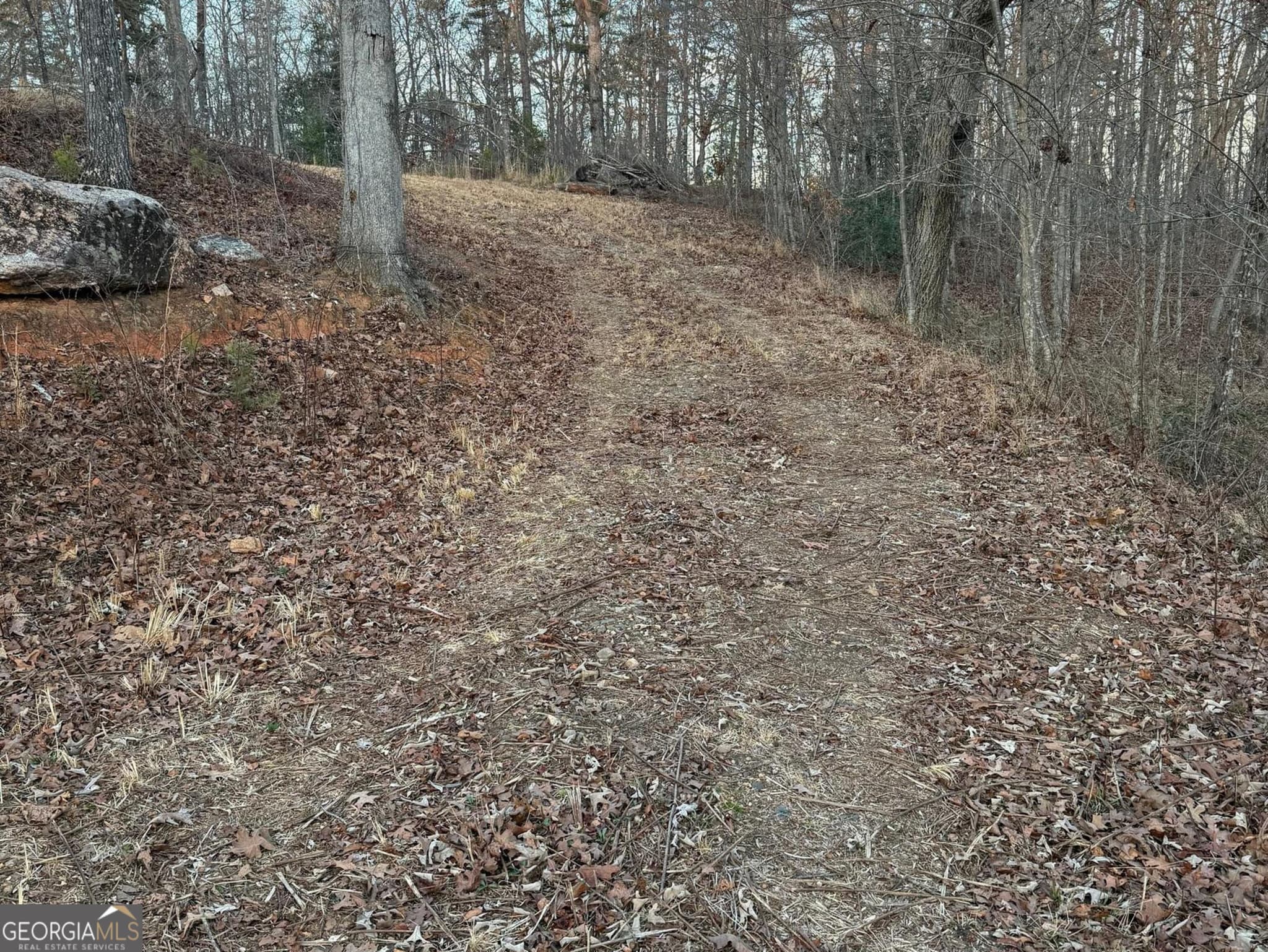 estate lot for sale at 426 Rockhouse Crossing, Demorest, GA 30535 — photo 7