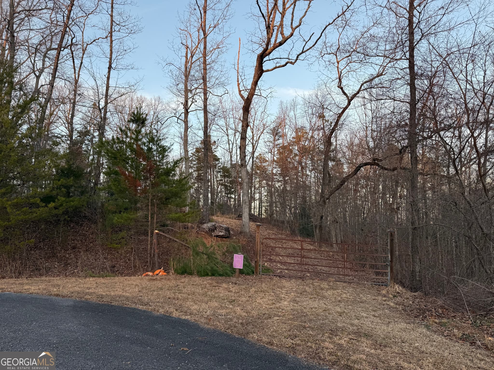 estate lot for sale at 426 Rockhouse Crossing, Demorest, GA 30535 — photo 3